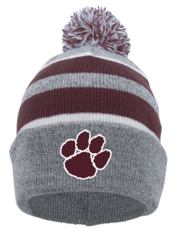 DR PAW STRIPED POM BEANIE